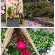 ヒメ日記 2025/01/04 12:05 投稿 しおり フィエスタ