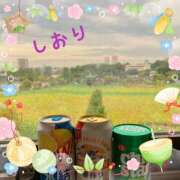 ヒメ日記 2025/01/07 06:14 投稿 しおり フィエスタ