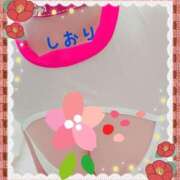 ヒメ日記 2025/01/09 22:44 投稿 しおり フィエスタ