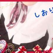 ヒメ日記 2025/01/22 11:04 投稿 しおり フィエスタ