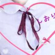 ヒメ日記 2025/01/26 09:14 投稿 しおり フィエスタ