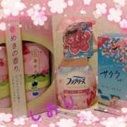 ヒメ日記 2025/01/27 06:34 投稿 しおり フィエスタ