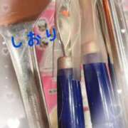 ヒメ日記 2025/02/01 05:54 投稿 しおり フィエスタ