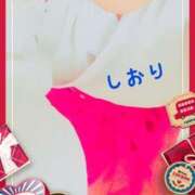 ヒメ日記 2025/02/02 05:44 投稿 しおり フィエスタ