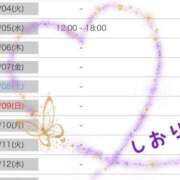 ヒメ日記 2025/02/03 00:14 投稿 しおり フィエスタ