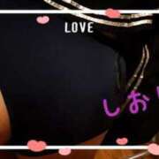 ヒメ日記 2025/02/12 00:44 投稿 しおり フィエスタ