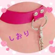 ヒメ日記 2025/02/15 22:34 投稿 しおり フィエスタ