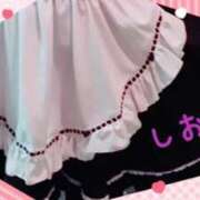 ヒメ日記 2025/02/17 09:54 投稿 しおり フィエスタ