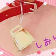 ヒメ日記 2025/02/19 20:44 投稿 しおり フィエスタ