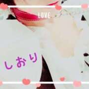 ヒメ日記 2025/02/21 03:34 投稿 しおり フィエスタ