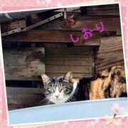 ヒメ日記 2025/02/22 02:14 投稿 しおり フィエスタ