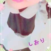 ヒメ日記 2025/02/25 05:14 投稿 しおり フィエスタ