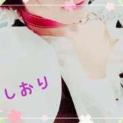 ヒメ日記 2025/03/06 22:14 投稿 しおり フィエスタ