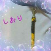 ヒメ日記 2025/03/06 22:44 投稿 しおり フィエスタ