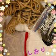 ヒメ日記 2025/03/09 05:34 投稿 しおり フィエスタ