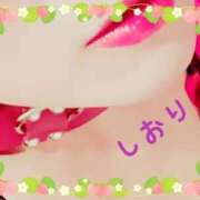 ヒメ日記 2025/03/12 15:44 投稿 しおり フィエスタ