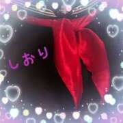 ヒメ日記 2025/03/14 21:54 投稿 しおり フィエスタ