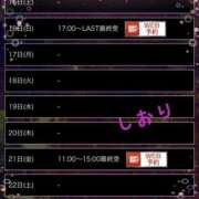 ヒメ日記 2025/03/15 12:06 投稿 しおり フィエスタ