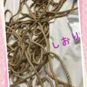 ヒメ日記 2025/03/17 03:04 投稿 しおり フィエスタ