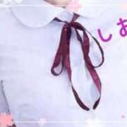 ヒメ日記 2025/03/17 03:24 投稿 しおり フィエスタ