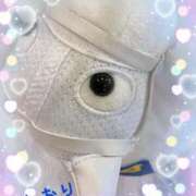 ヒメ日記 2025/03/24 03:54 投稿 しおり フィエスタ