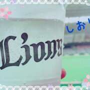 ヒメ日記 2025/03/27 02:44 投稿 しおり フィエスタ