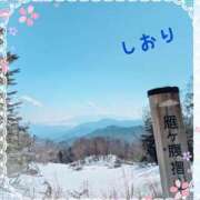 ヒメ日記 2025/03/28 08:34 投稿 しおり フィエスタ