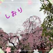 ヒメ日記 2025/04/03 10:44 投稿 しおり フィエスタ