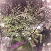 ヒメ日記 2025/04/06 03:14 投稿 しおり フィエスタ