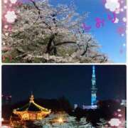 ヒメ日記 2025/04/10 04:54 投稿 しおり フィエスタ