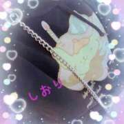 ヒメ日記 2025/04/11 18:54 投稿 しおり フィエスタ