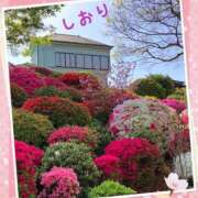 ヒメ日記 2025/04/18 04:44 投稿 しおり フィエスタ