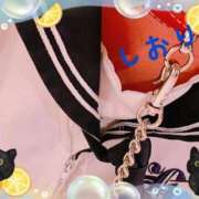 ヒメ日記 2025/04/21 03:34 投稿 しおり フィエスタ