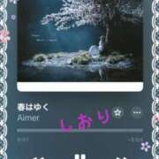 ヒメ日記 2025/04/24 19:05 投稿 しおり フィエスタ