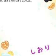 ヒメ日記 2025/04/24 22:04 投稿 しおり フィエスタ