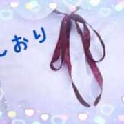 ヒメ日記 2025/04/25 20:24 投稿 しおり フィエスタ