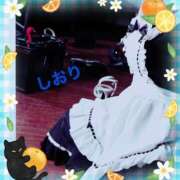 ヒメ日記 2025/04/25 22:24 投稿 しおり フィエスタ