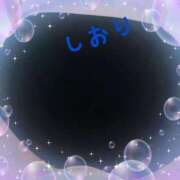 ヒメ日記 2025/04/27 22:04 投稿 しおり フィエスタ