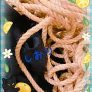 ヒメ日記 2025/04/30 22:24 投稿 しおり フィエスタ