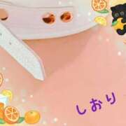 ヒメ日記 2025/05/01 17:14 投稿 しおり フィエスタ