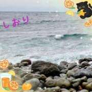 ヒメ日記 2025/05/21 04:34 投稿 しおり フィエスタ