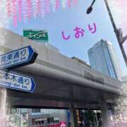 ヒメ日記 2025/05/22 00:14 投稿 しおり フィエスタ