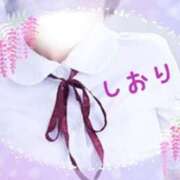 ヒメ日記 2025/06/02 05:44 投稿 しおり フィエスタ