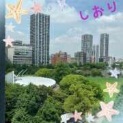 ヒメ日記 2025/06/11 04:04 投稿 しおり フィエスタ