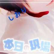 ヒメ日記 2025/06/14 12:44 投稿 しおり フィエスタ