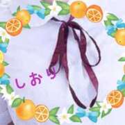 ヒメ日記 2025/06/15 04:44 投稿 しおり フィエスタ