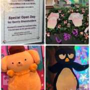 ヒメ日記 2025/07/05 05:04 投稿 しおり フィエスタ