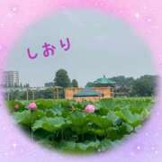 ヒメ日記 2025/07/08 00:14 投稿 しおり フィエスタ