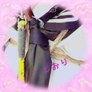 ヒメ日記 2025/07/08 12:05 投稿 しおり フィエスタ