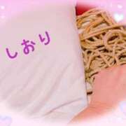 ヒメ日記 2025/07/09 18:04 投稿 しおり フィエスタ